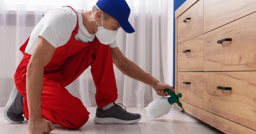 capa dedetizacao em Boa Vista